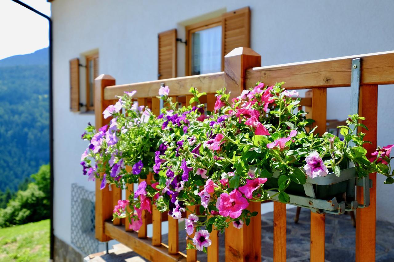 Agriturismo Reinhof San Felice  Eksteriør billede
